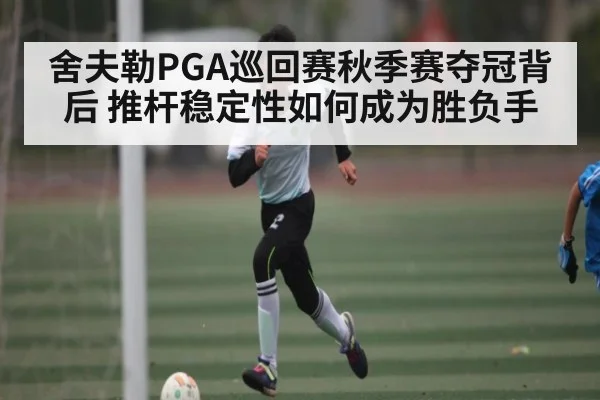舍夫勒PGA巡回赛秋季赛夺冠背后 推杆稳定性如何成为胜负手