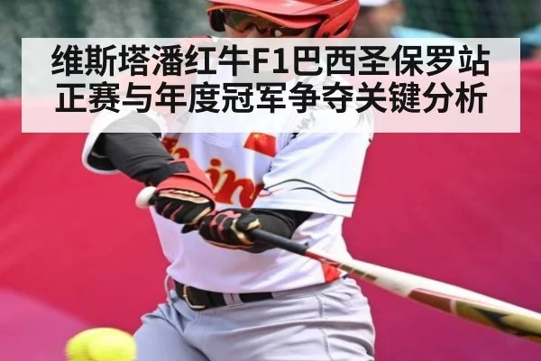 维斯塔潘红牛F1巴西圣保罗站正赛与年度冠军争夺关键分析