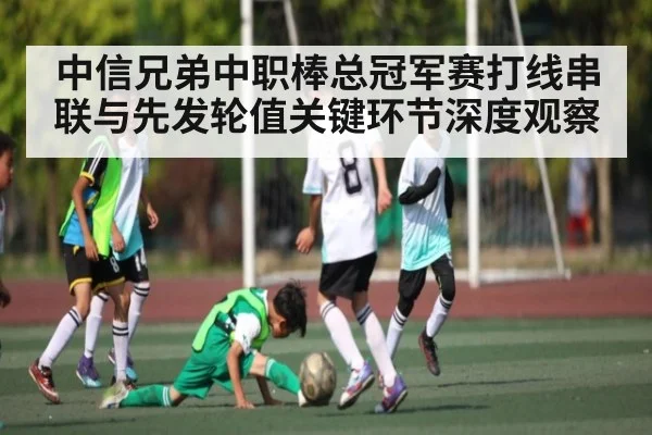 中信兄弟中职棒总冠军赛打线串联与先发轮值关键环节深度观察